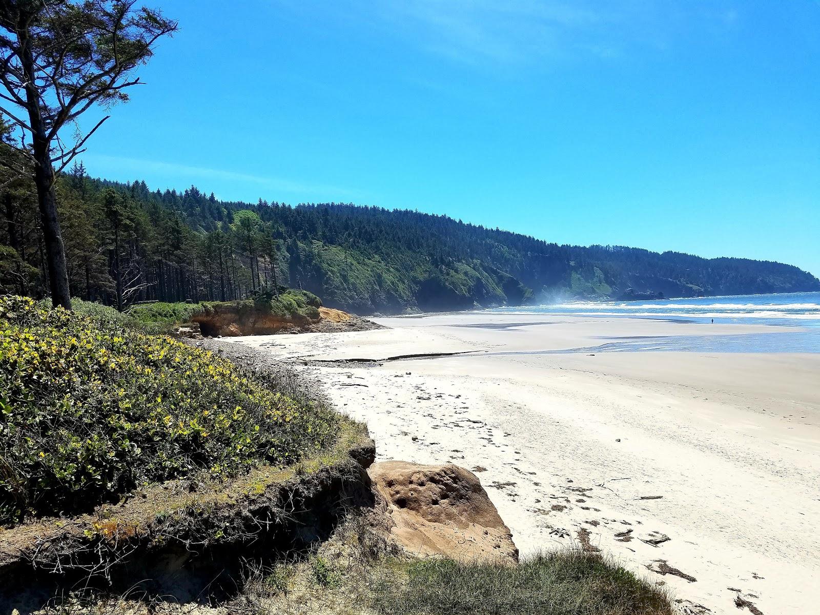 Sandee Netarts Bay Shellfish