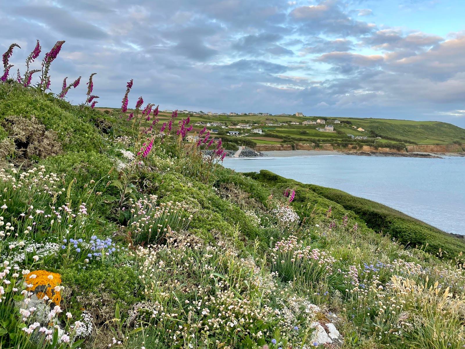 Sandee Trenow Cove Beach