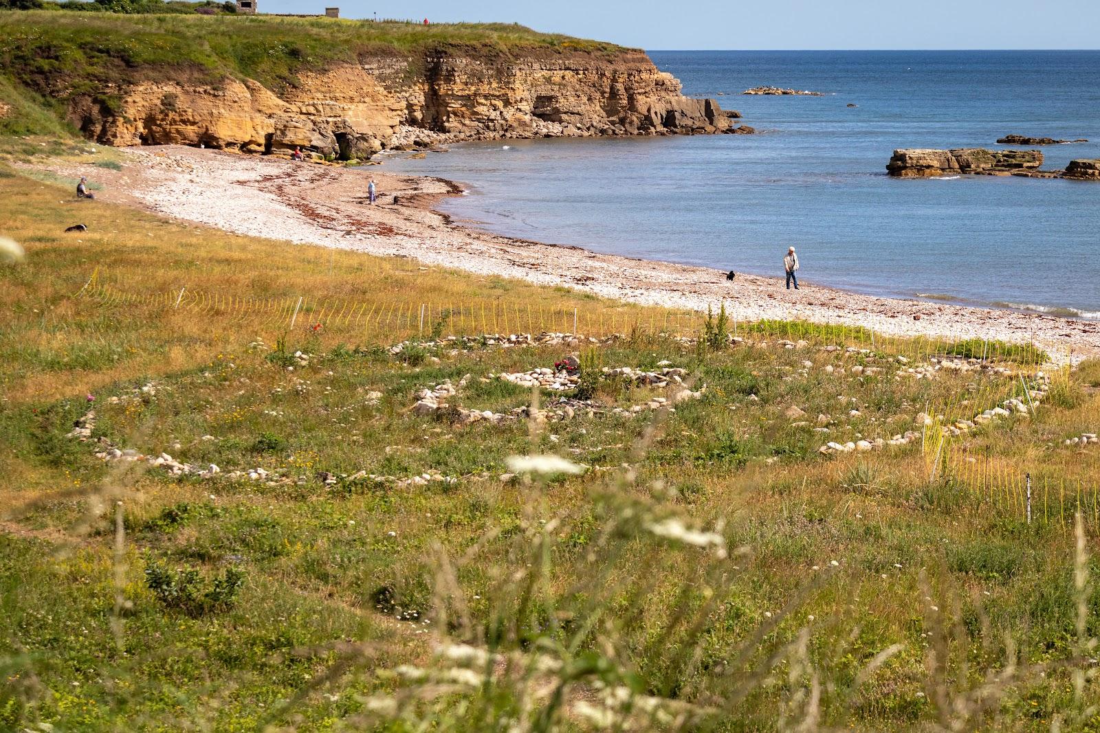 Sandee Whitburn Beach