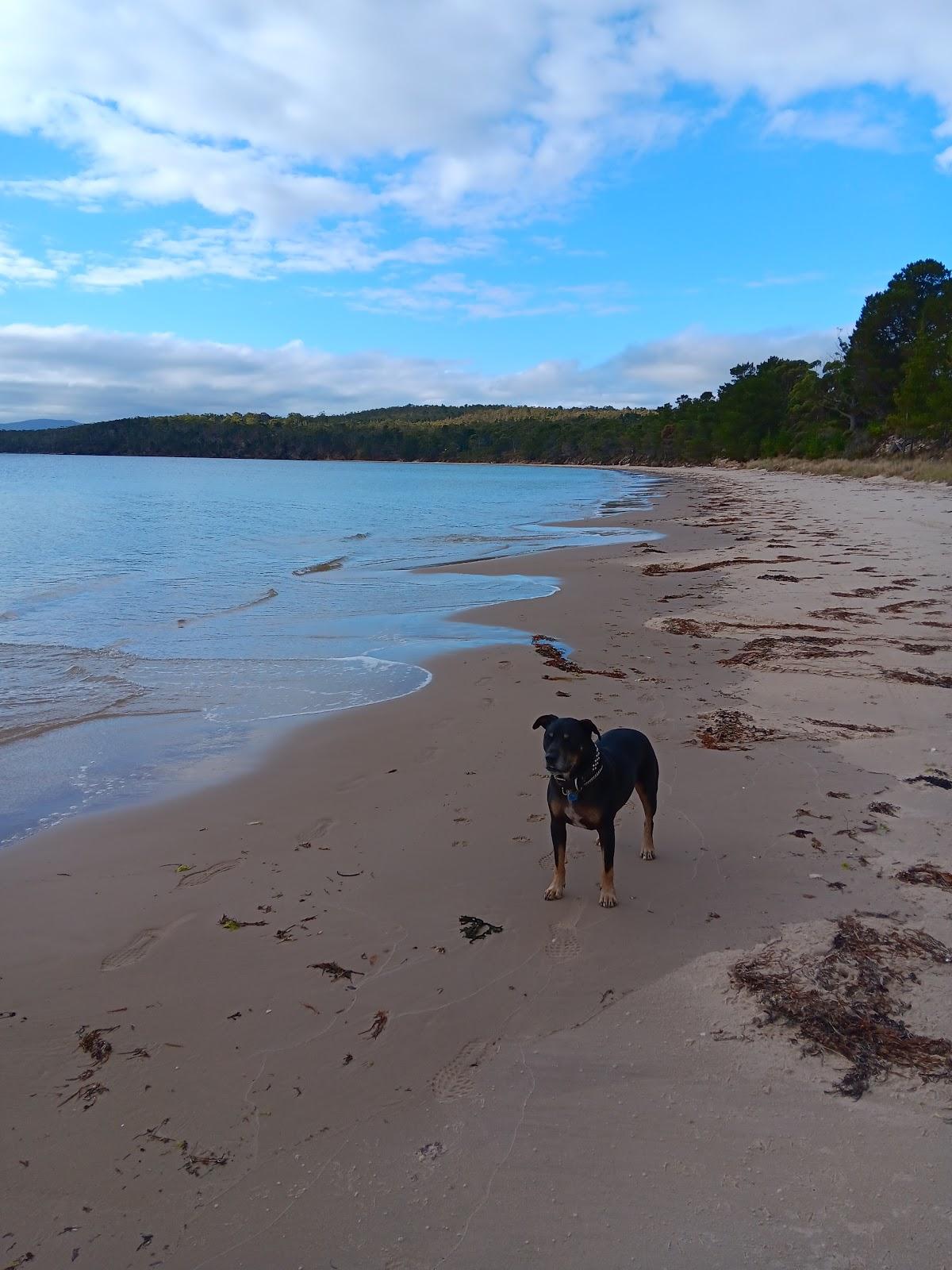 Sandee Conleys Beach