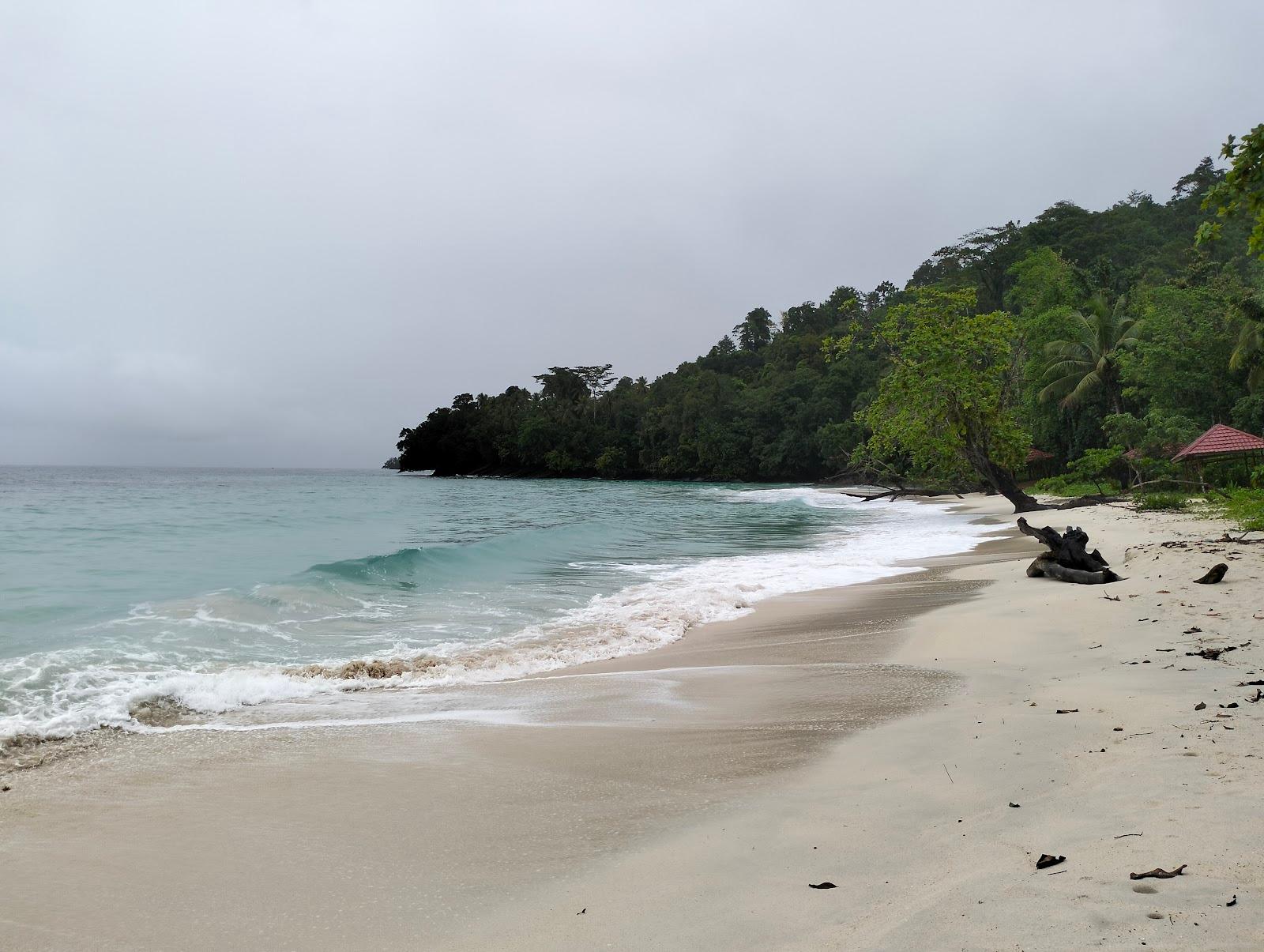 Sandee Patawana Beach