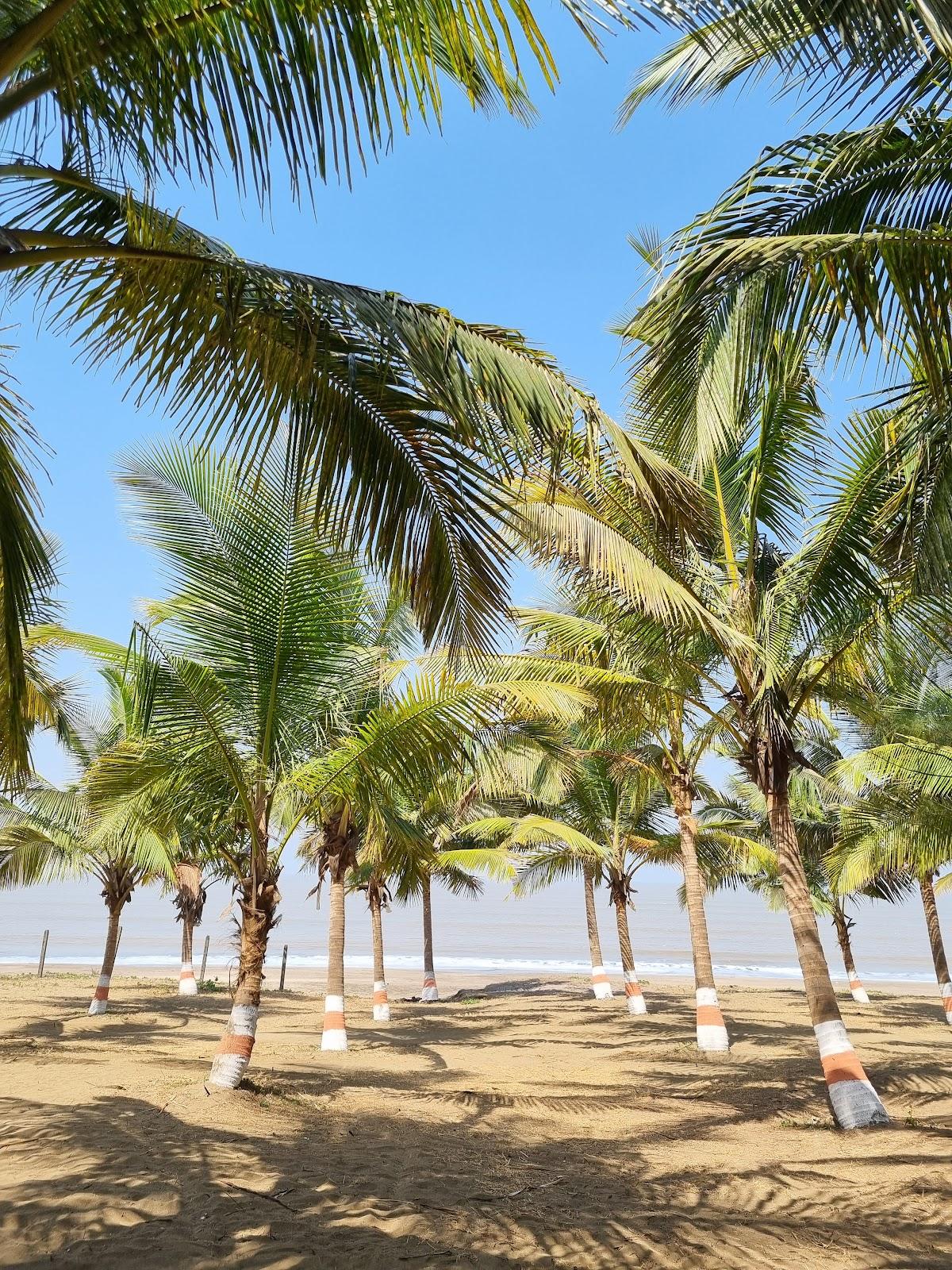 Sandee 2nd Beach