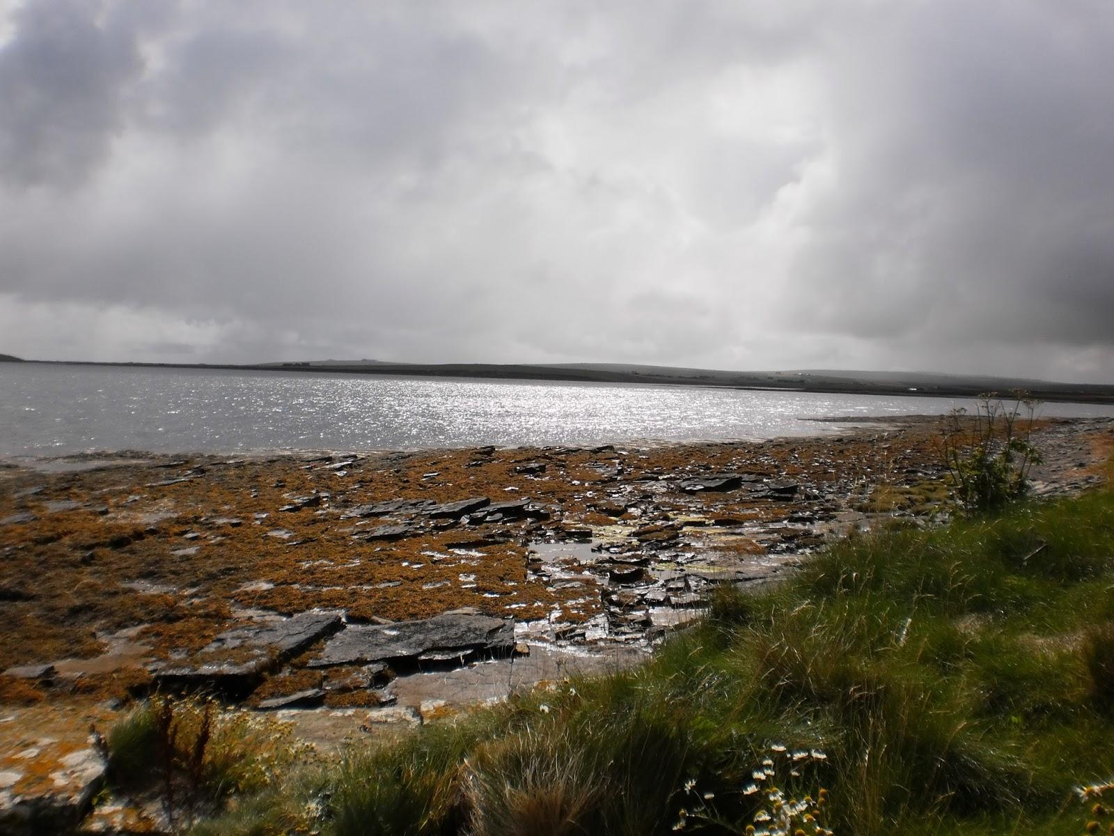 Sandee Mill Sands Beach