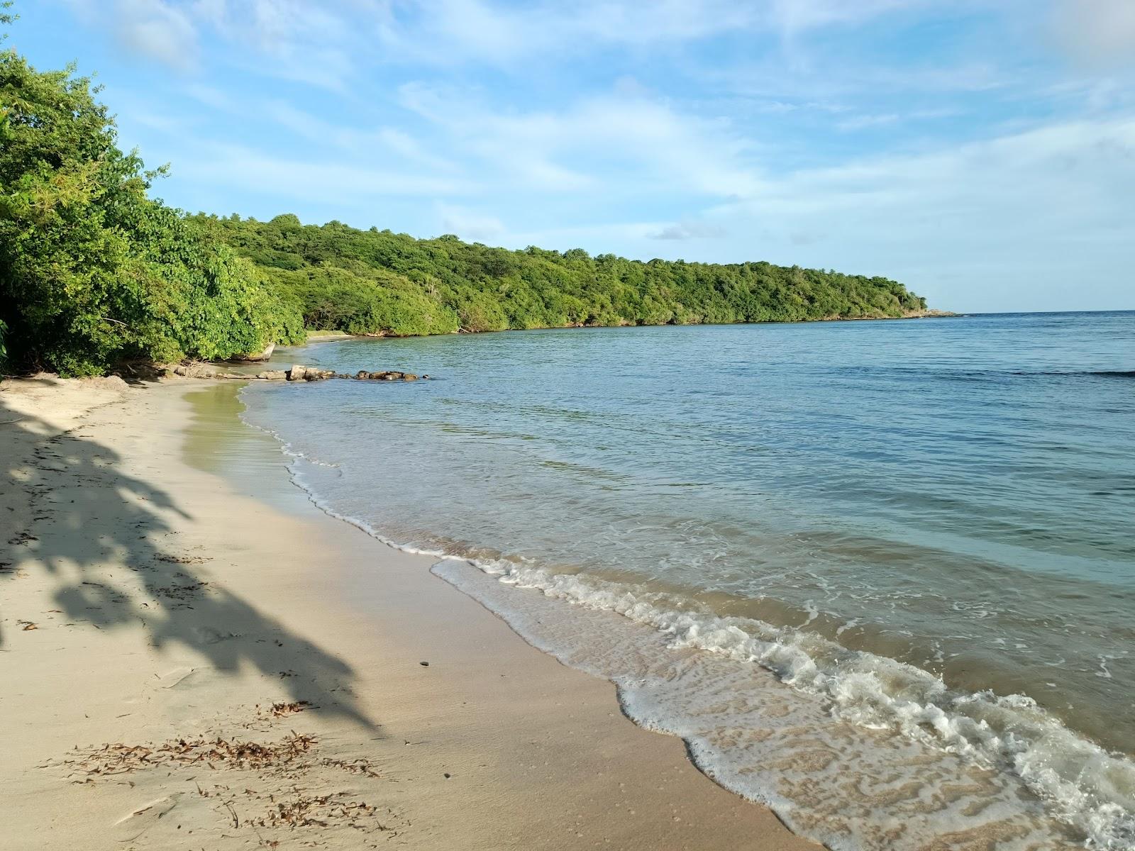 Sandee Bacolet Beach
