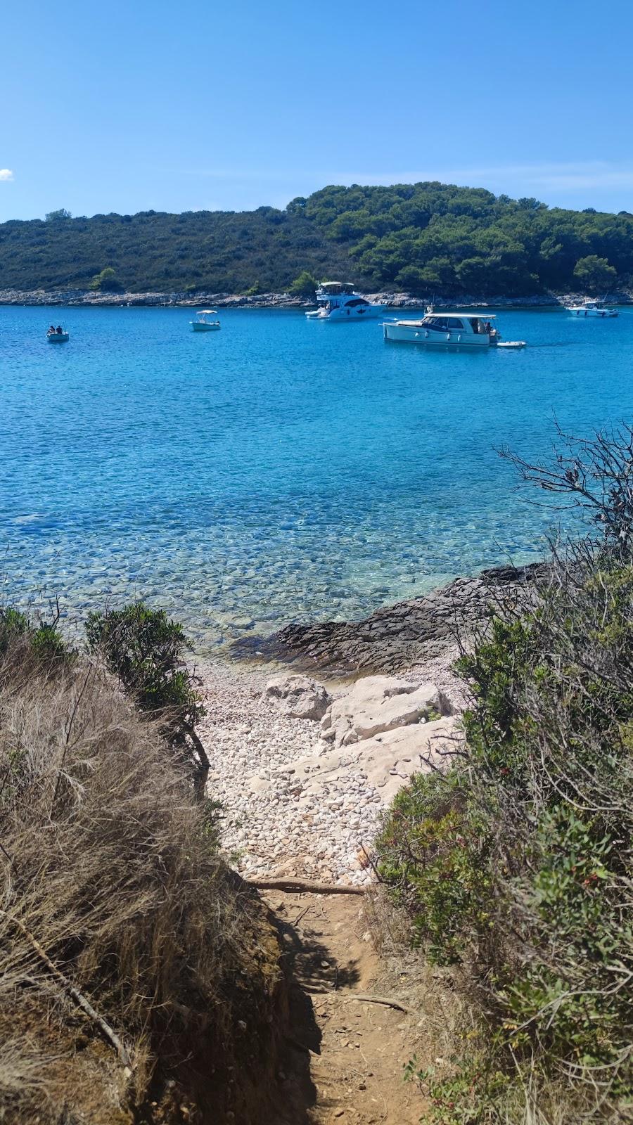 Sandee Tarsce Bay