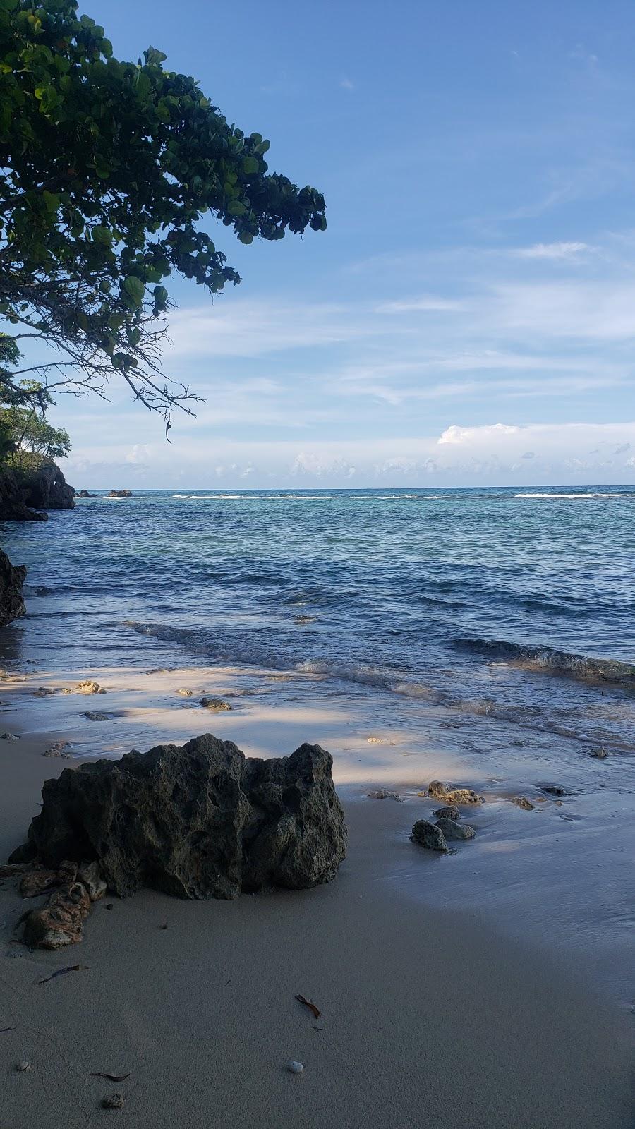 Sandee - HomePage / Port Antonio