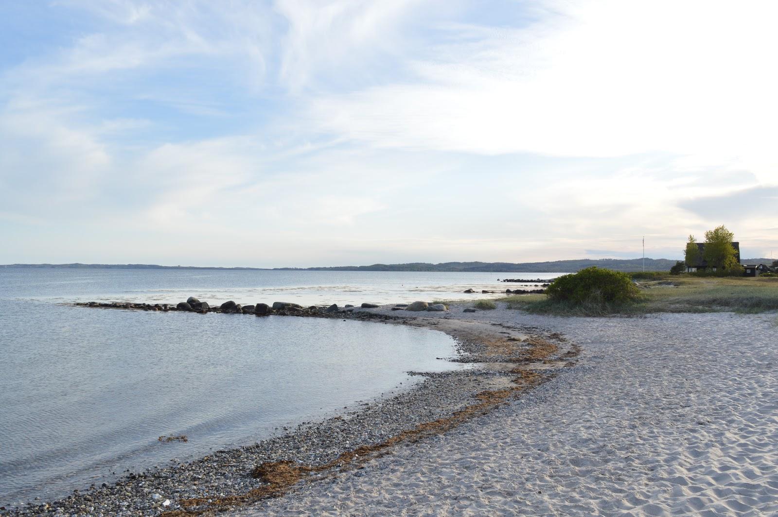 Sandee Handrup Strand