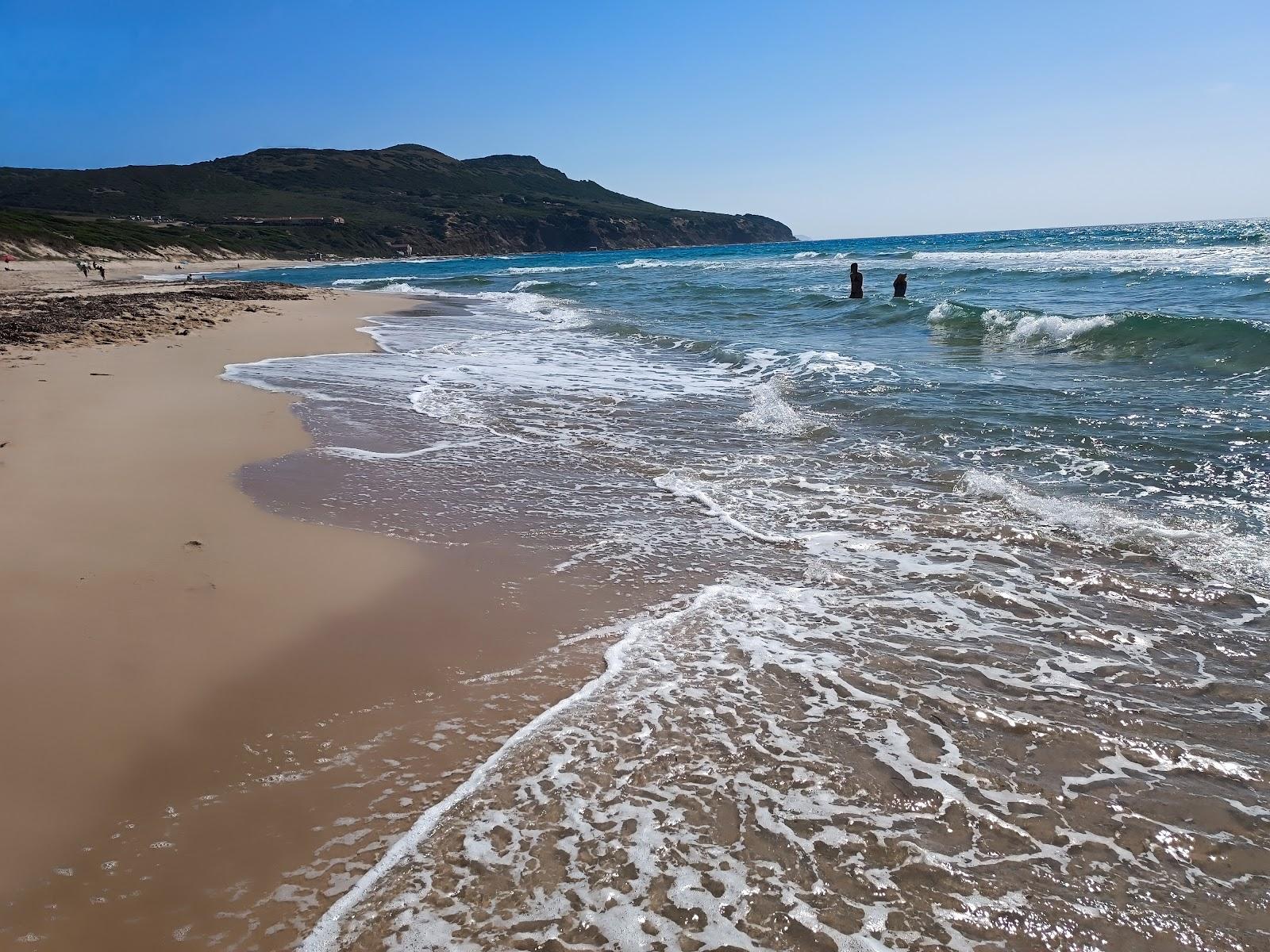 Sandee Punta Di L'Arena Beach