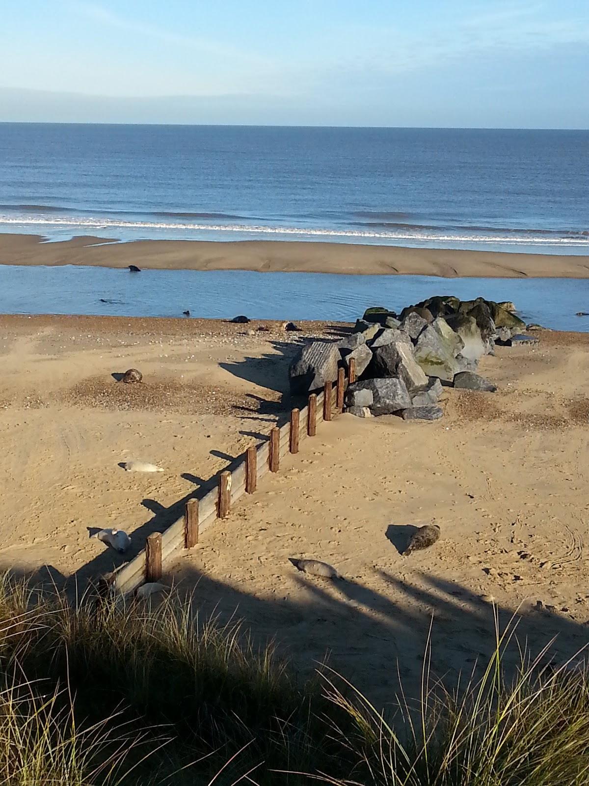 Sandee Horsey Beach