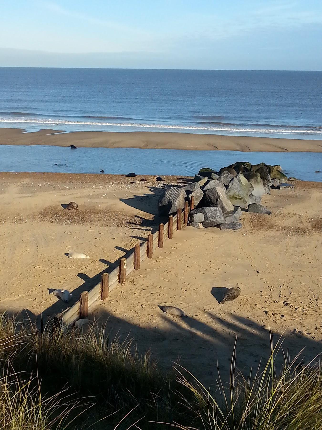 Sandee Horsey Beach