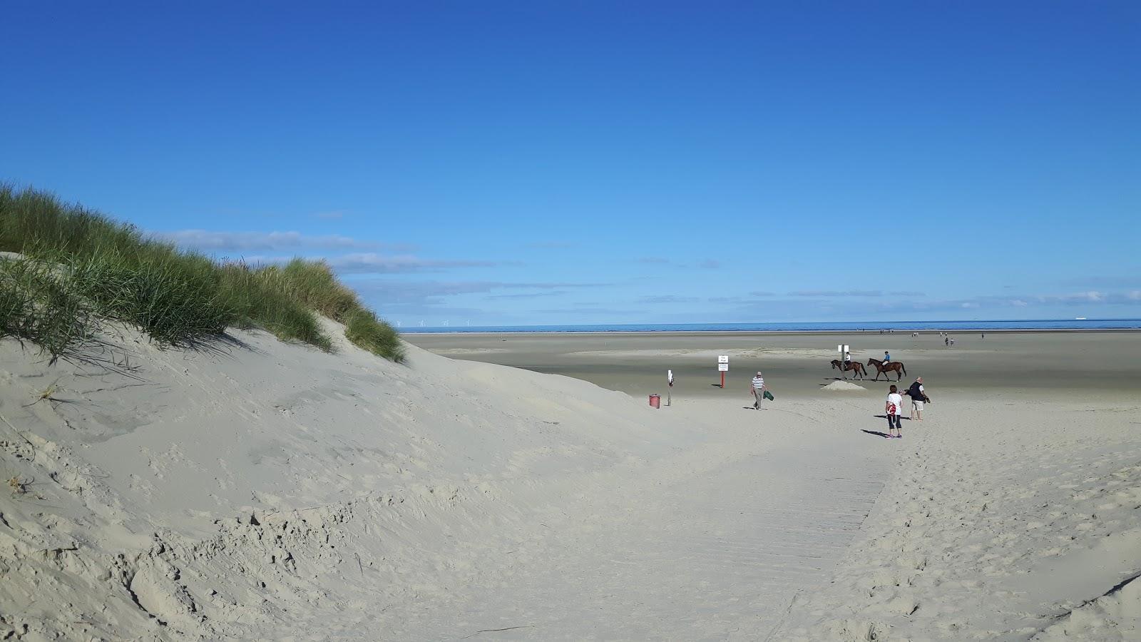 Sandee Nudist Beach Dlrg, Borkum