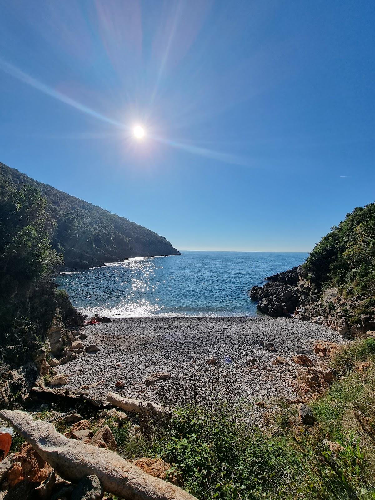 Sandee - HomePage / Zagora, Kotor