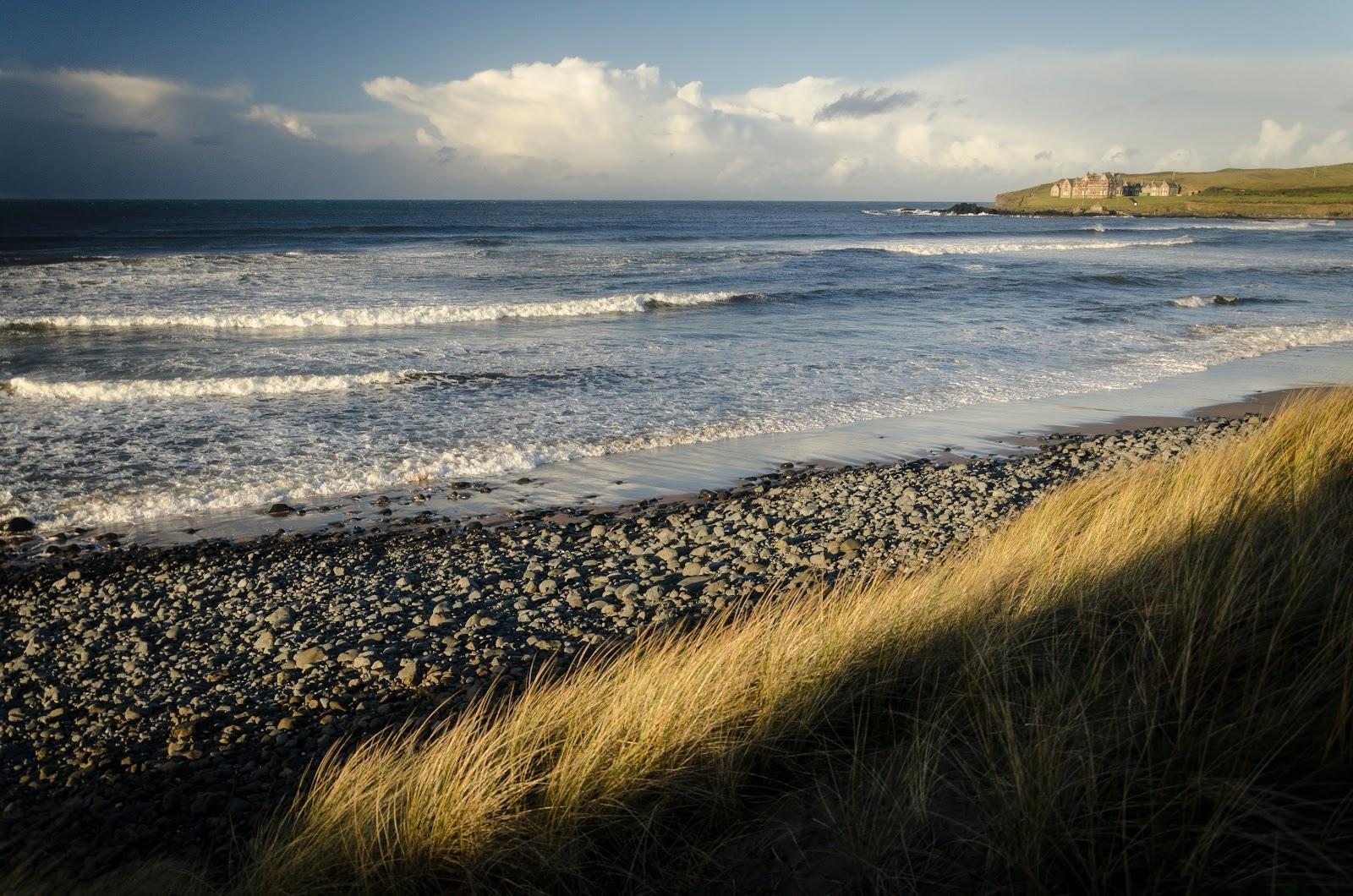 Sandee Bushfoot Beach