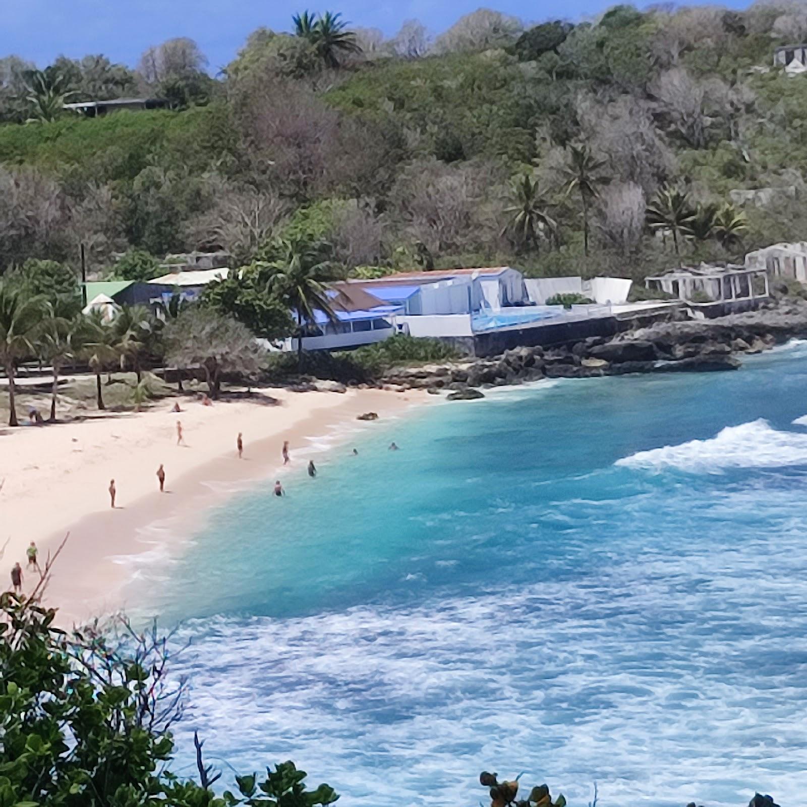 Sandee Plage De L'Anse Bertrand