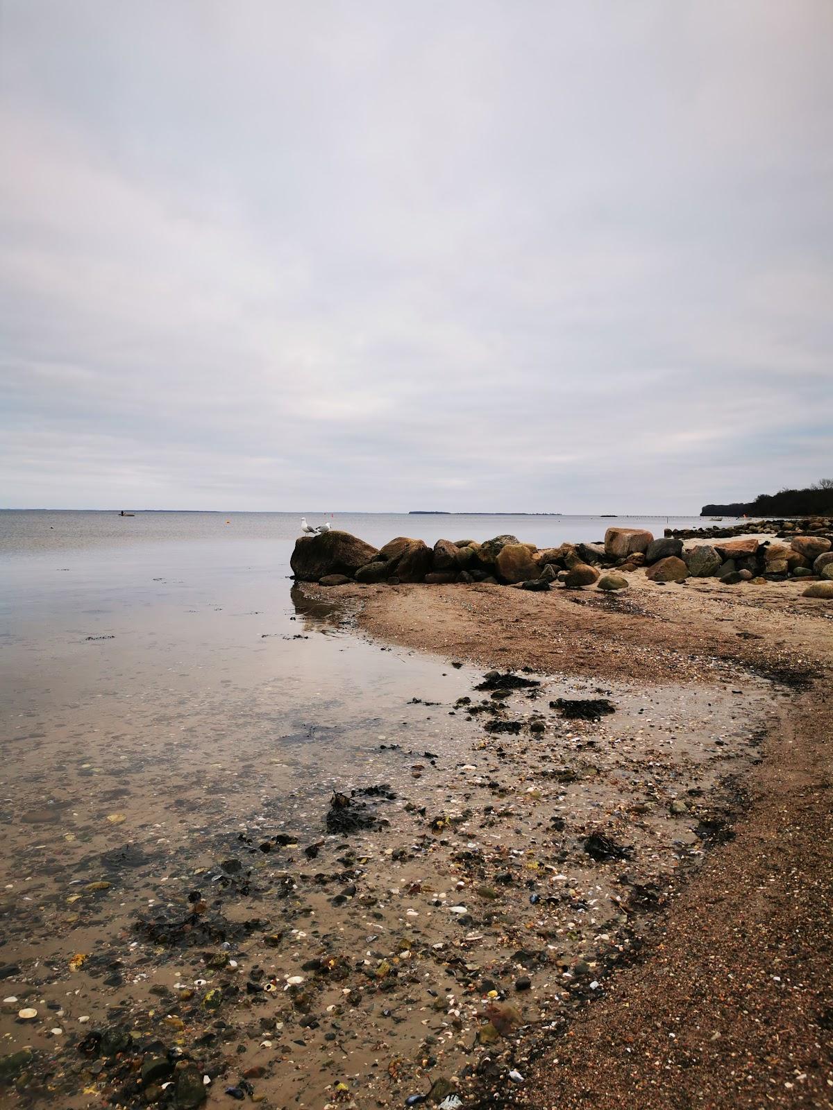 Sandee Bjert Strand