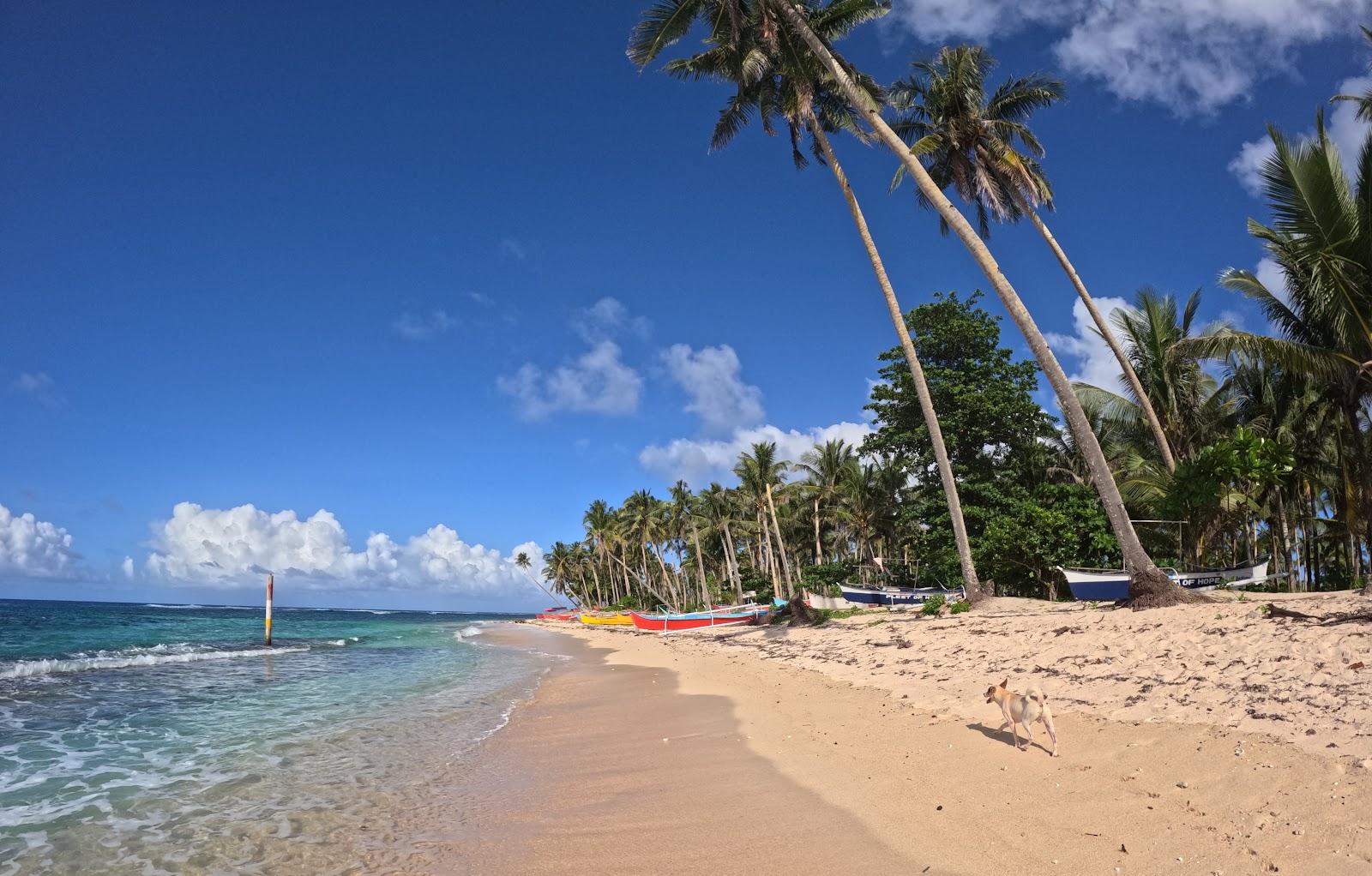 Sandee Tangbo Beach