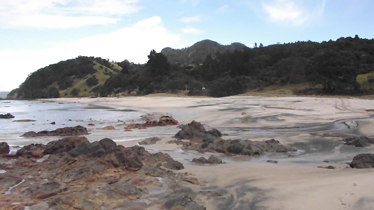 Sandee - HomePage / Waitaia Bay
