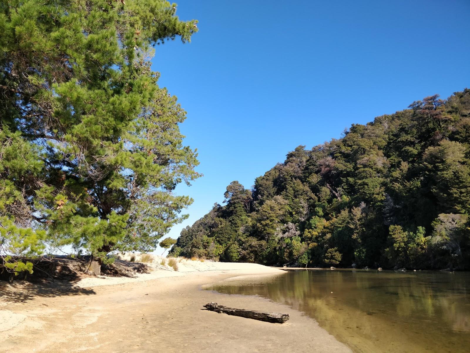 Sandee Apple Tree Bay