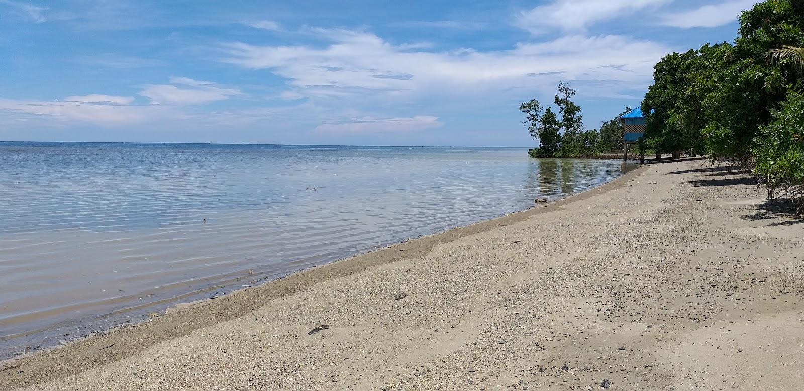 Sandee Pantai Tepi Laut Kaidipang
