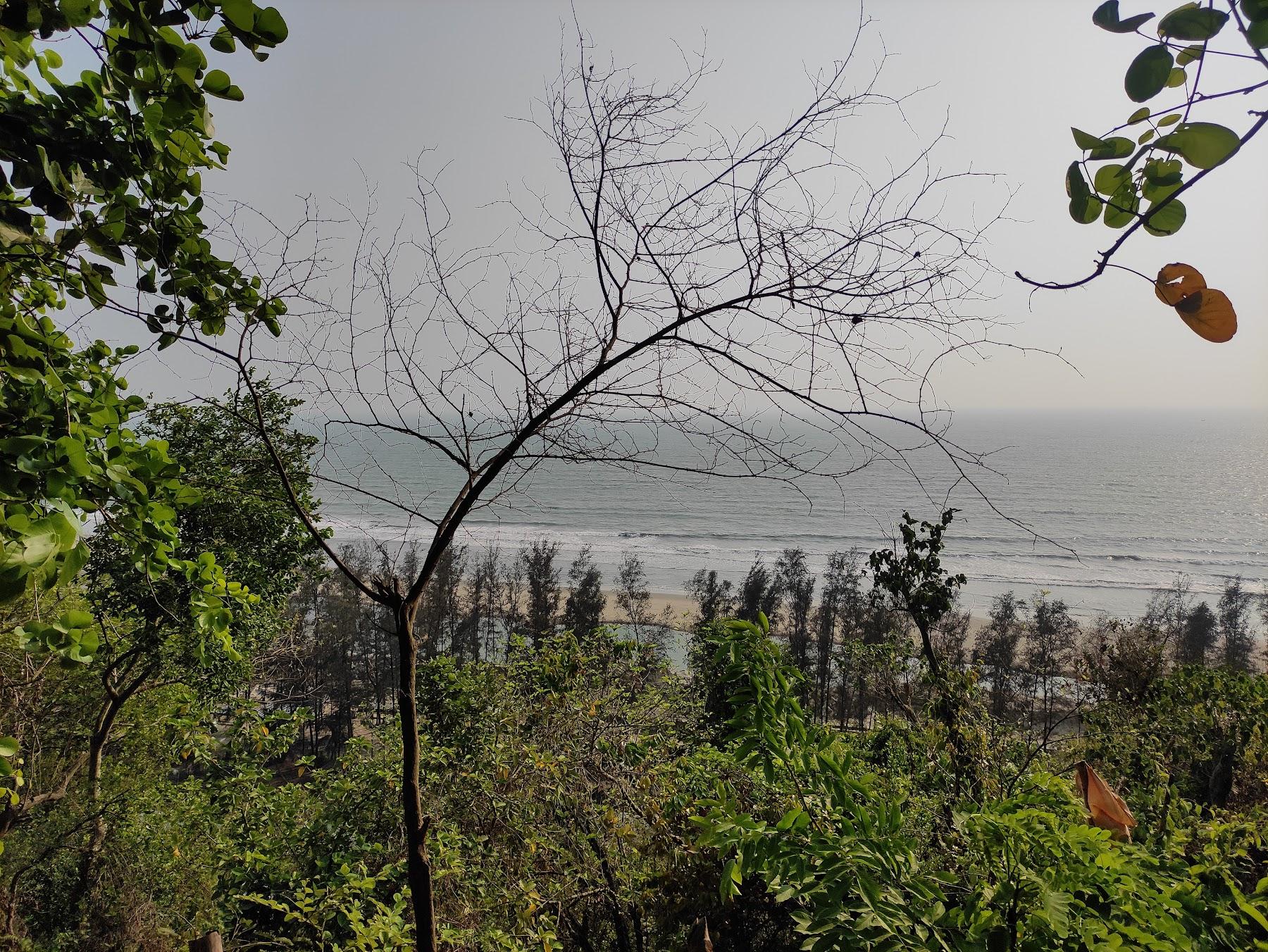 Sandee Himchhari Beach