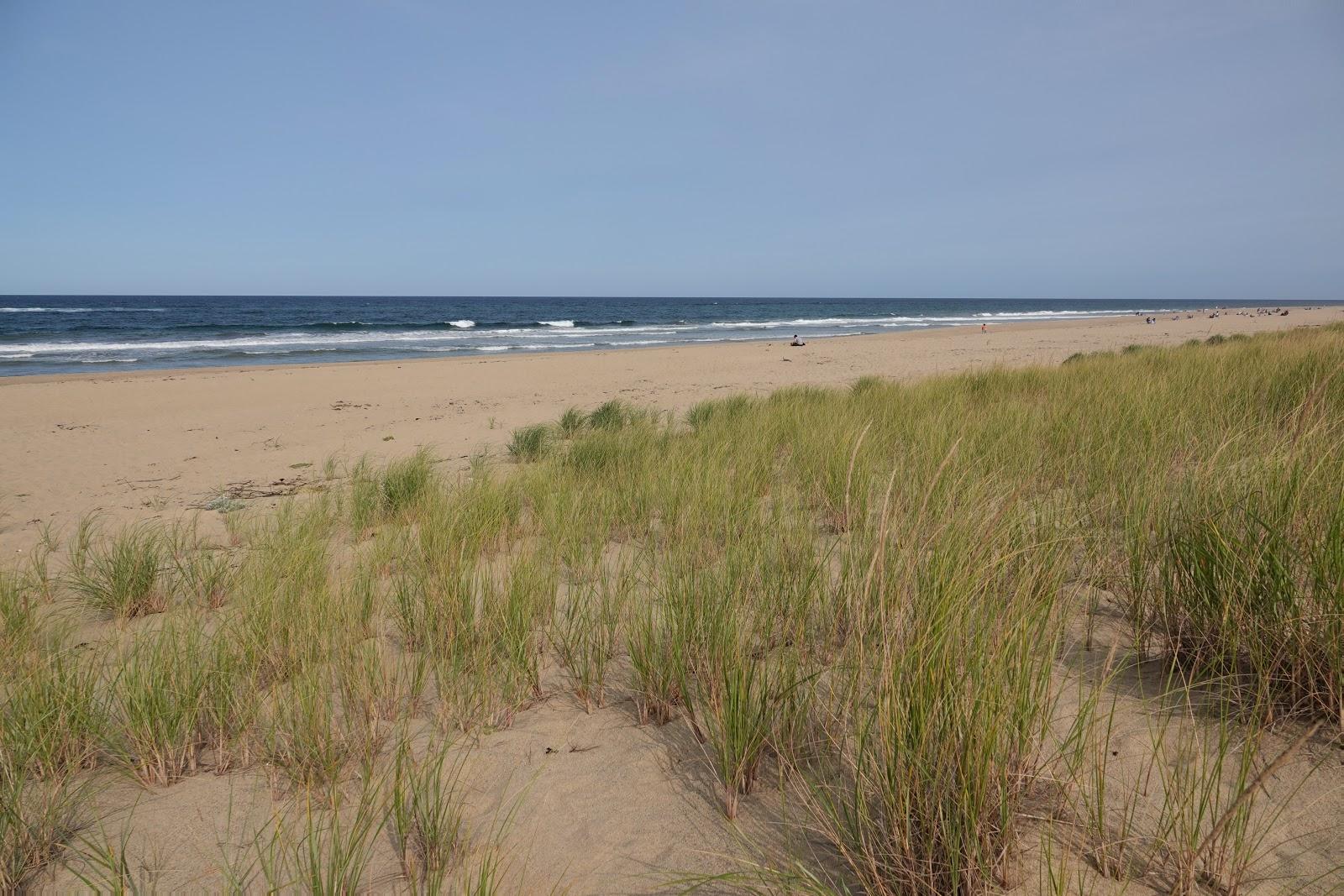 Sandee Head Of The Meadow National Seashore