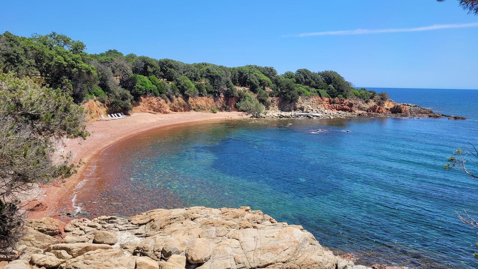 Sandee Plage De La Punta San Ciprianu