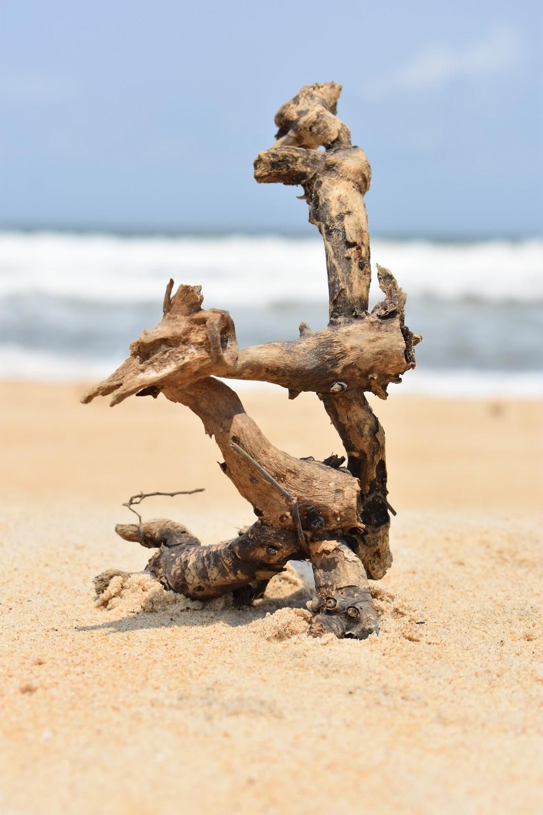 Sandee Pantai Tarimbang
