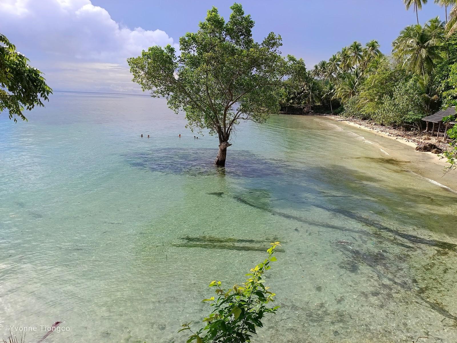Sandee Tiongco's Rest House, Punta Paraiso