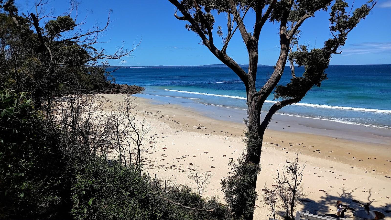Sandee Dee Beach