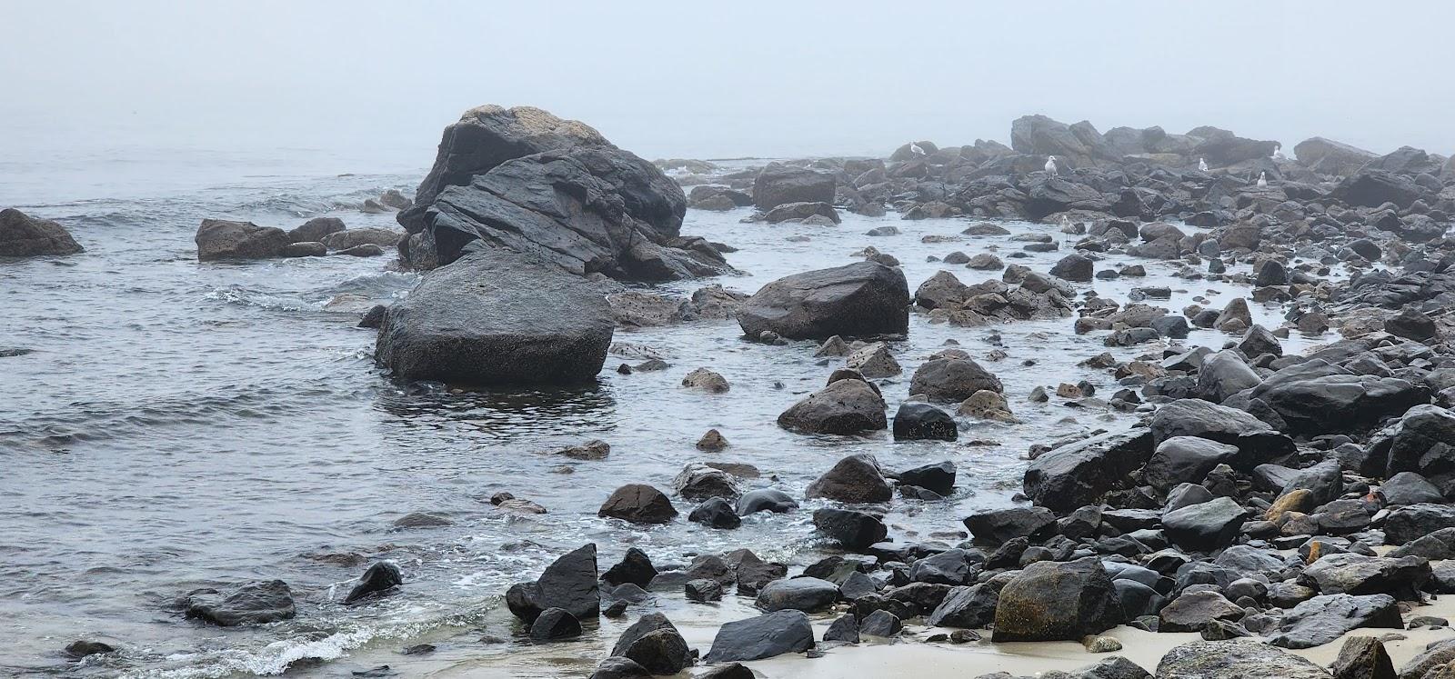 Sandee Lynch Park Beach
