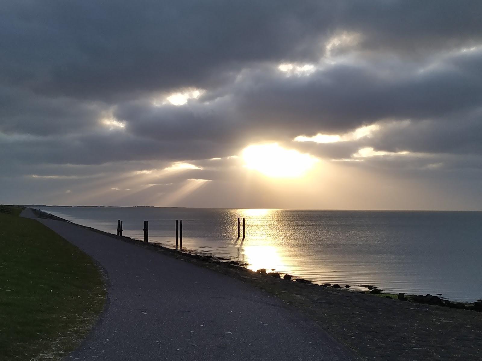Sandee - HomePage / Frisia