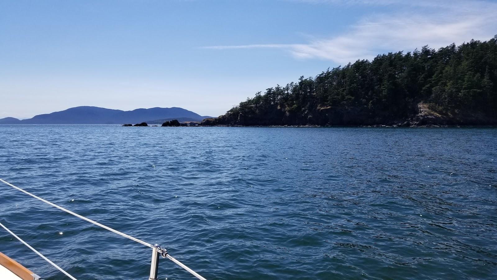 Sandee Carter Point