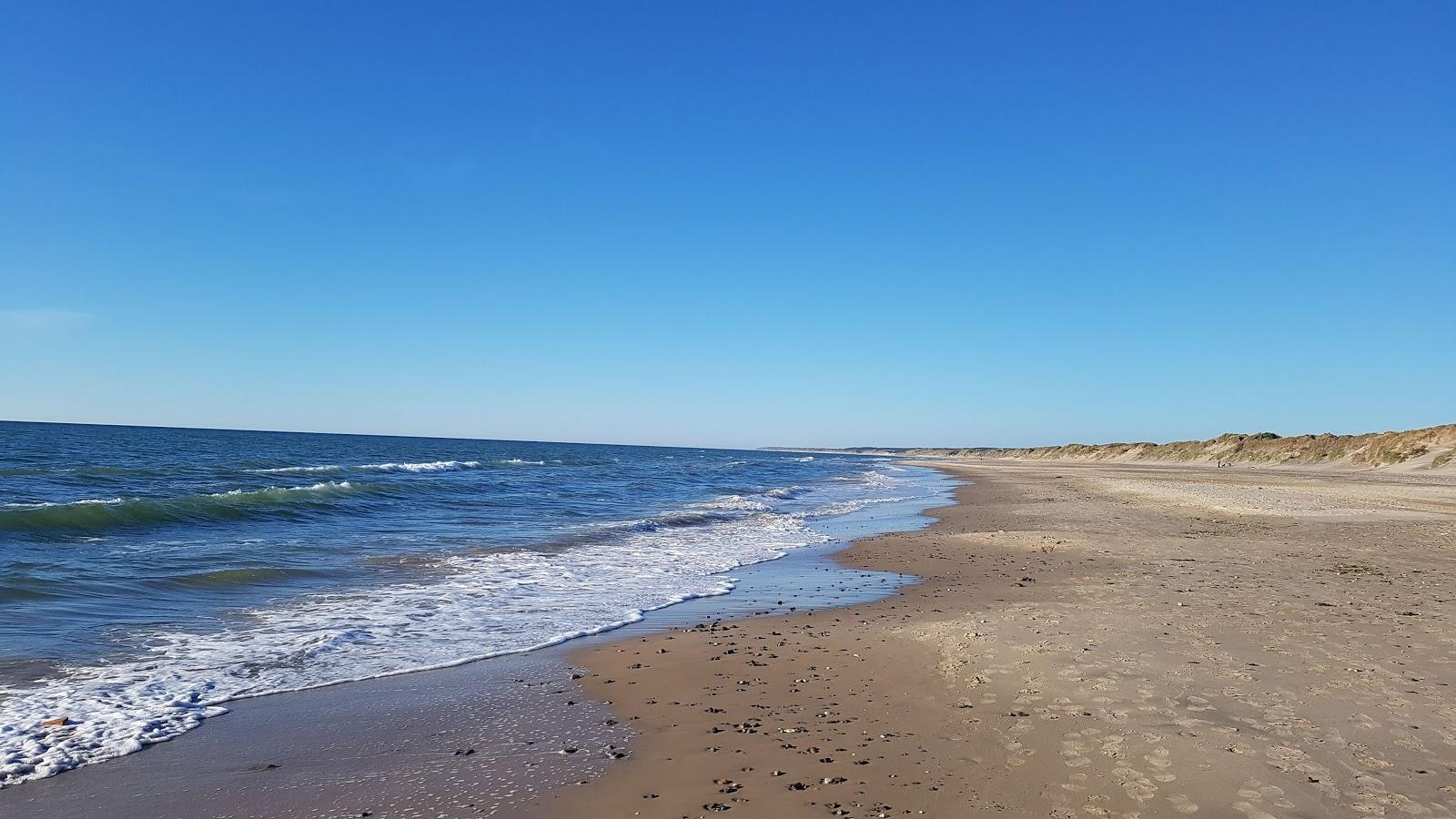 Sandee Nørlev Strand
