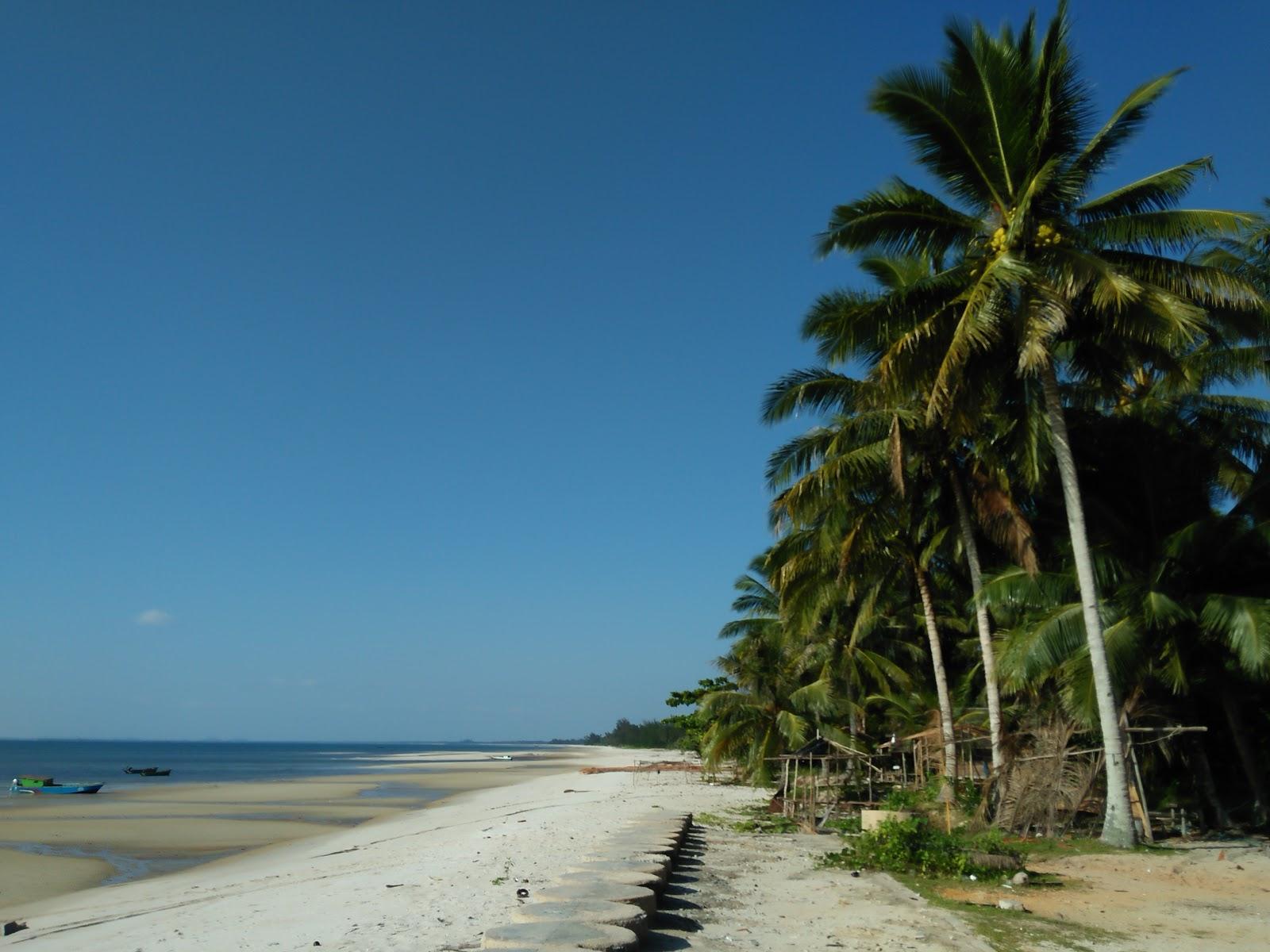 Sandee Tungau Beach