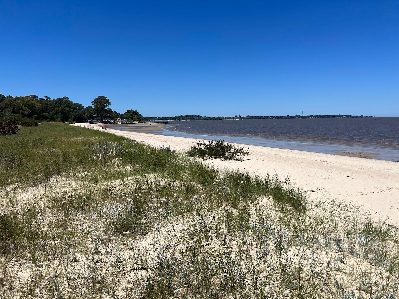 Sandee La Arenisca Beach