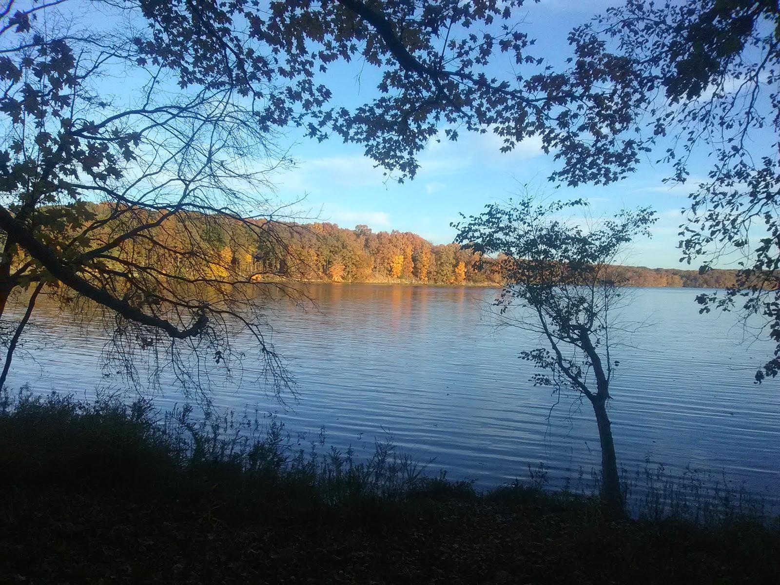 Sandee S A Forbes State Park