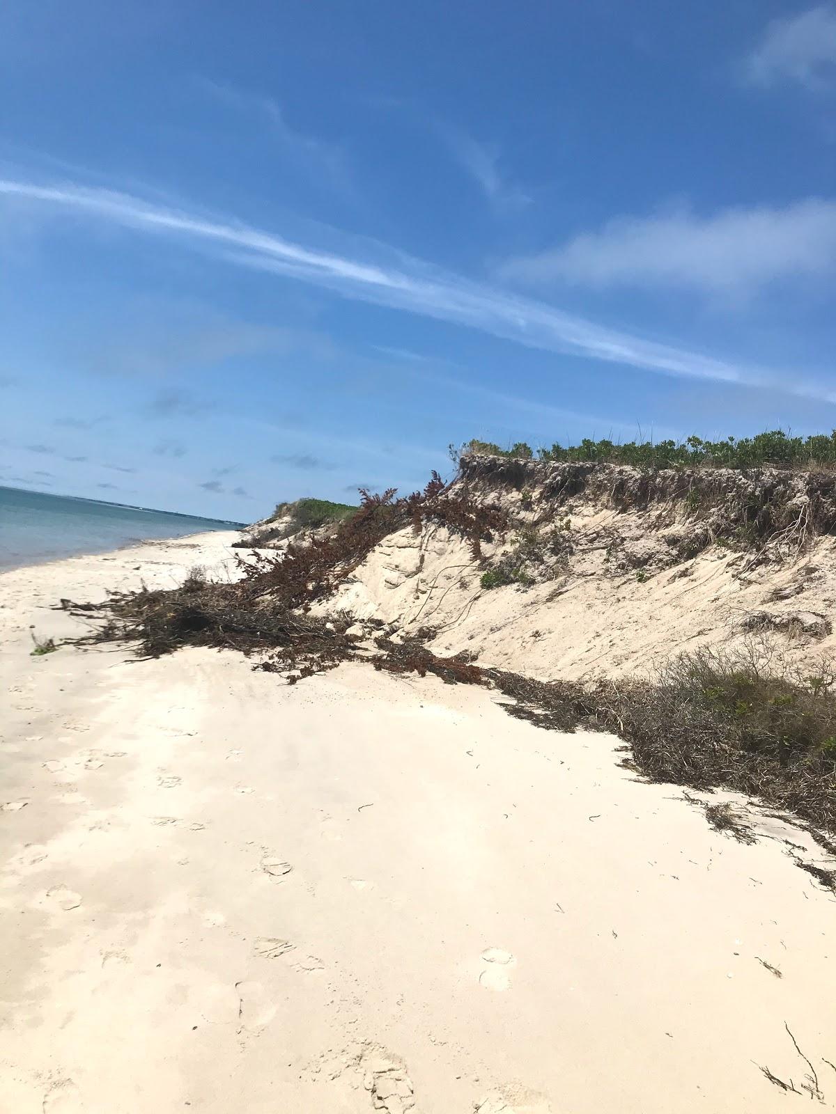 Sandee Monomoy Beach