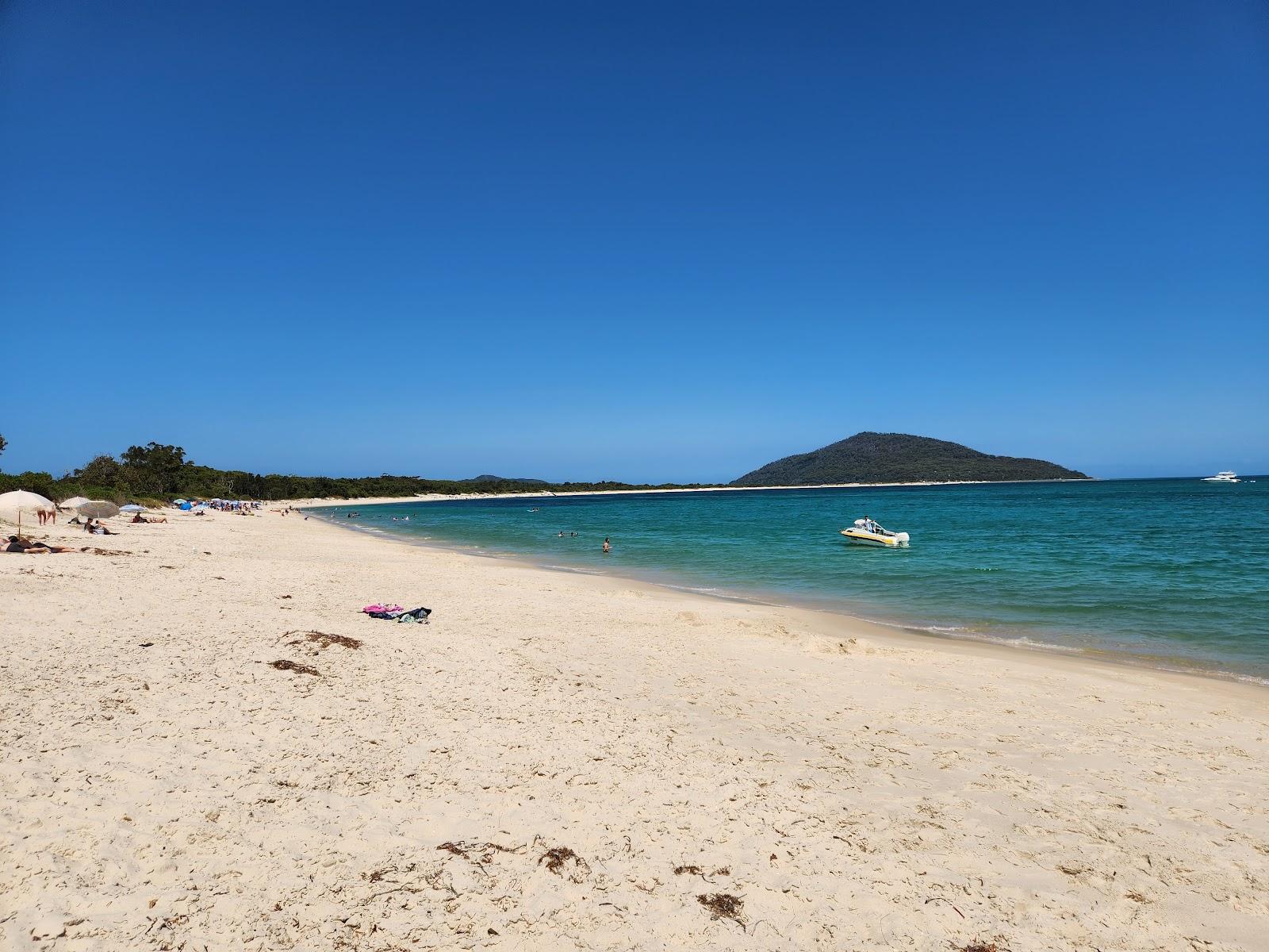 Sandee Jimmys Beach