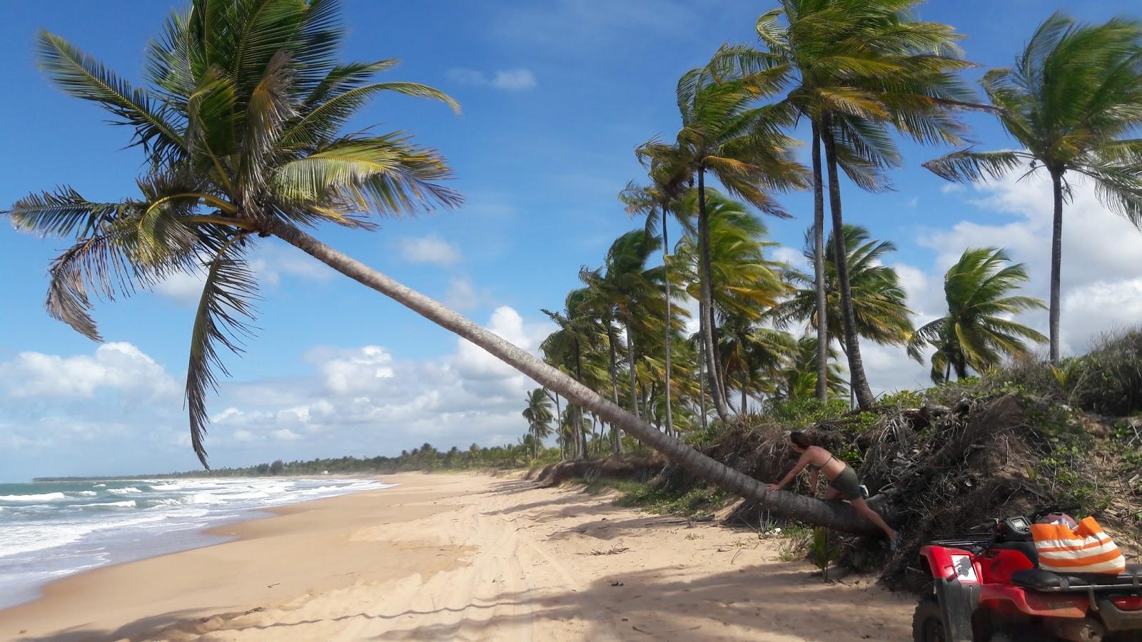Sandee Praia De Panelas