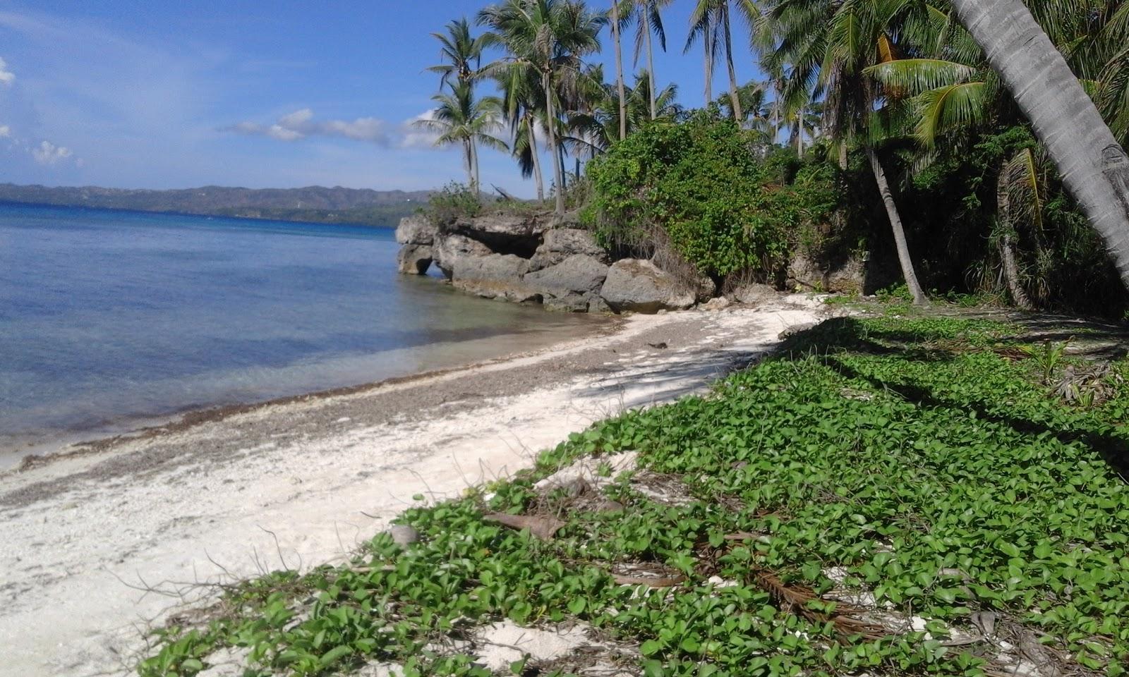 Sandee Candanay Sur Beach