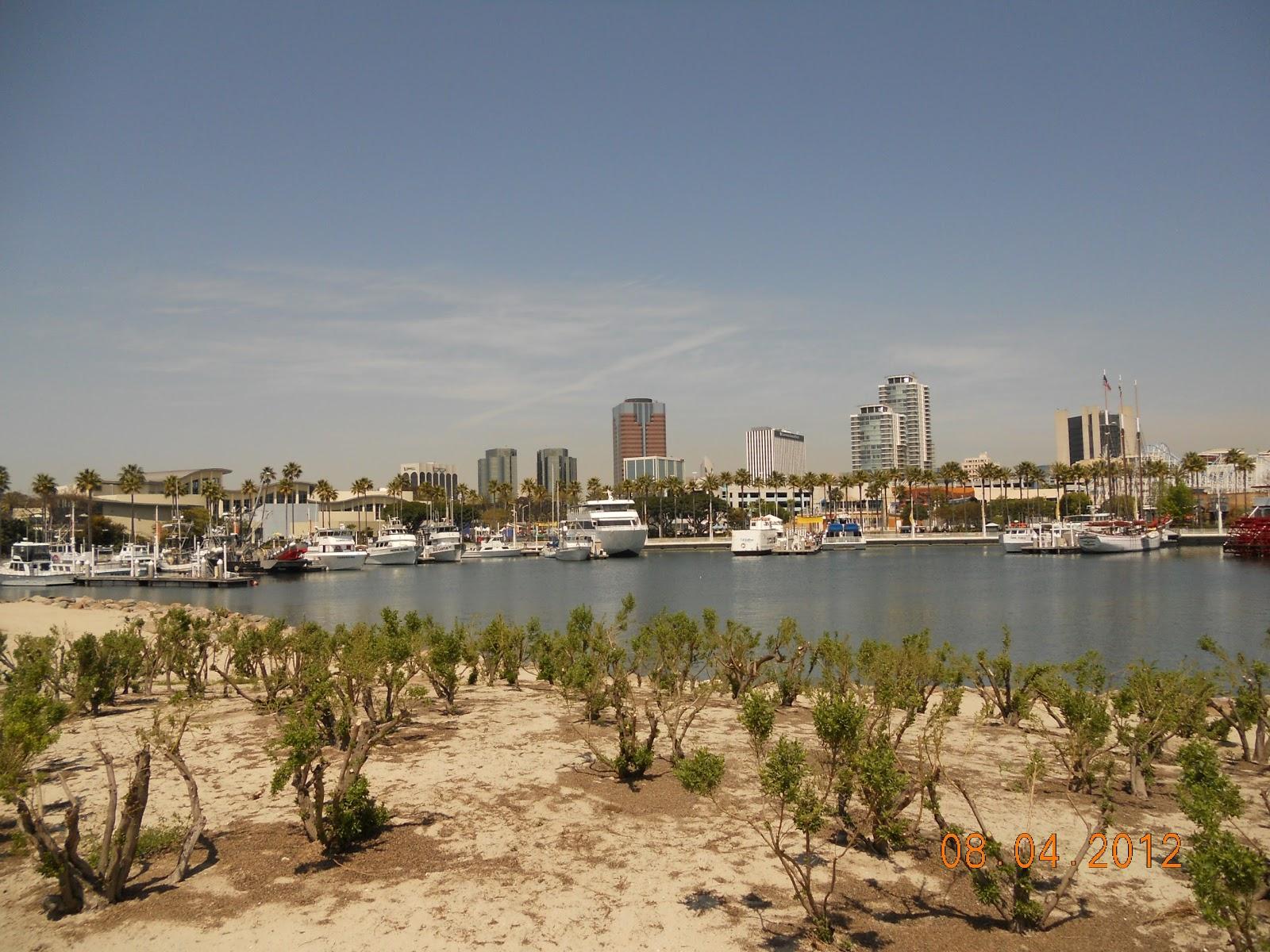 Sandee Long Beach