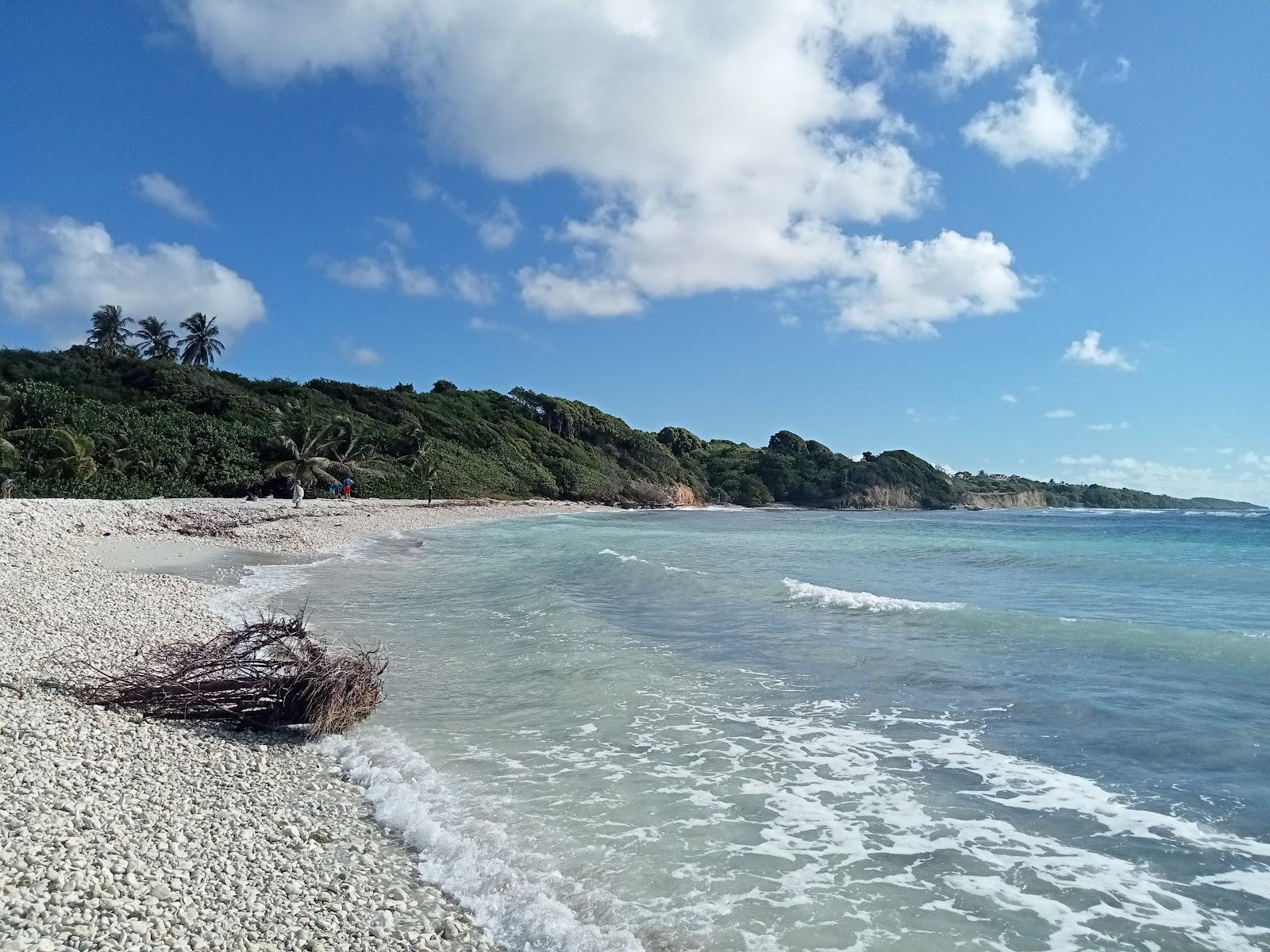 Sandee Plage De Gros Sable