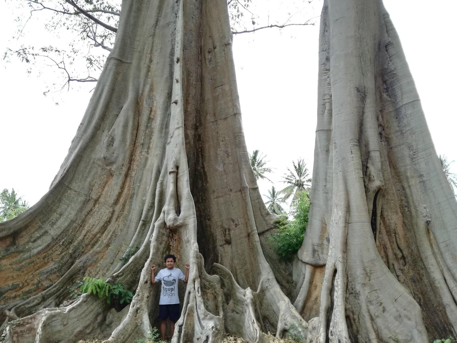 Sandee Pantai Pengayoman
