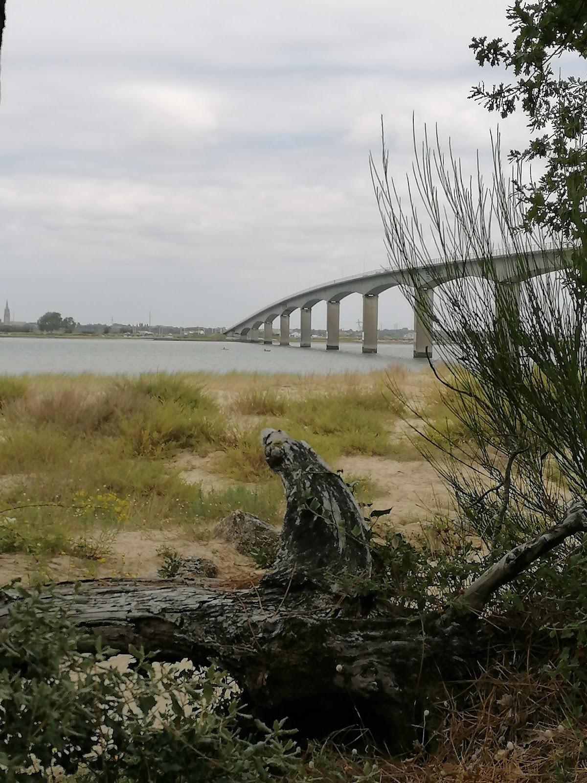 Sandee Plage De La Muse Du Loup , Golfe-De-Gascogne