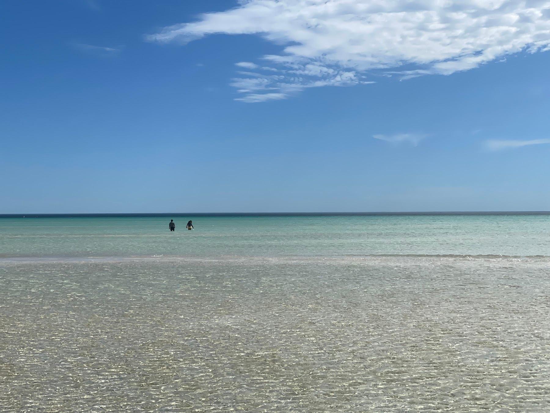 Sandee Flaherty Beach