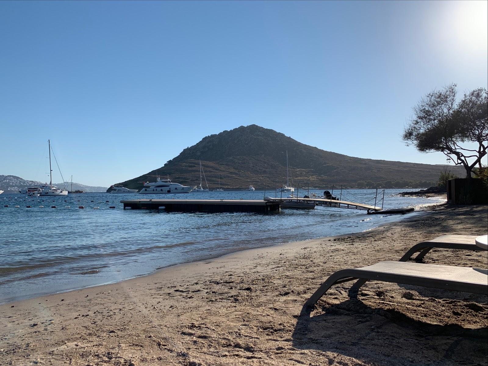 Sandee Mufla Beach