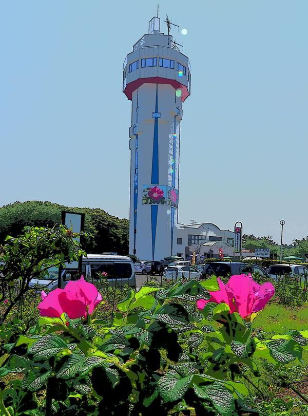 Sandee Aomatsuka Coast