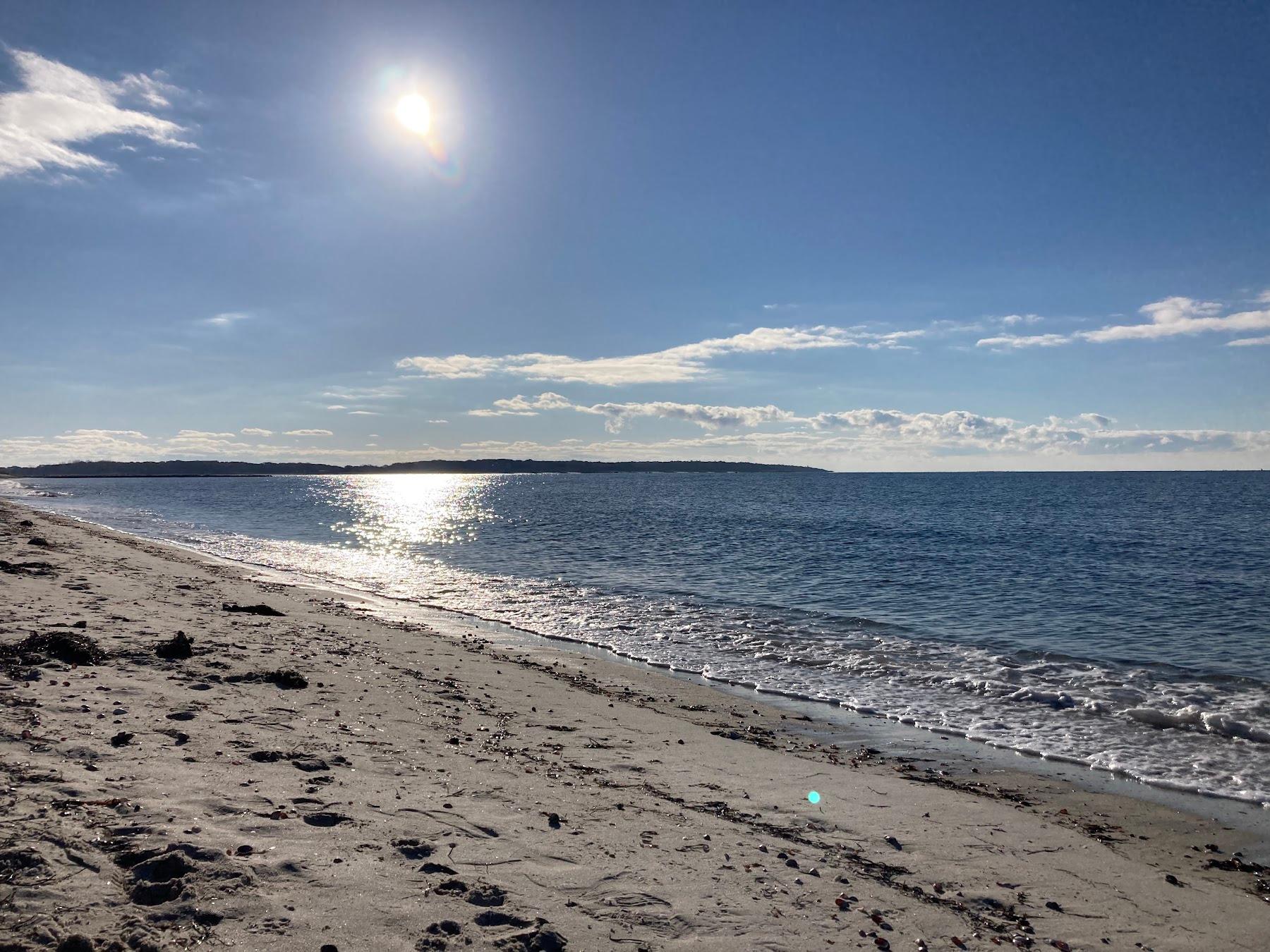 Sandee Kalmus Beach