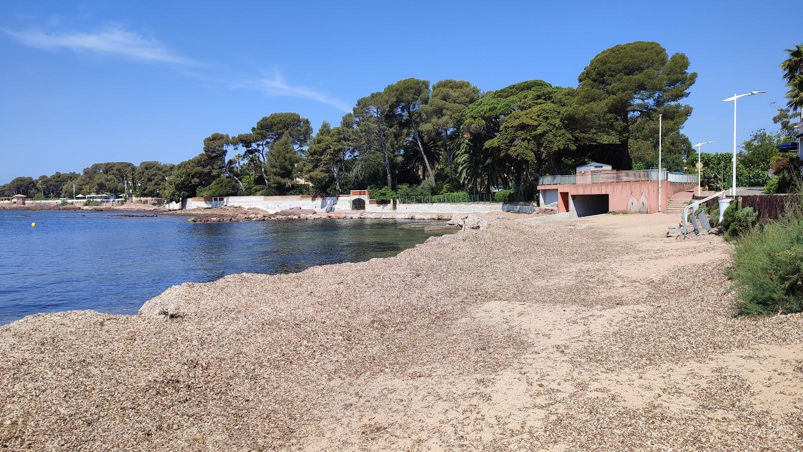 Sandee Plage D'Arene Grosse