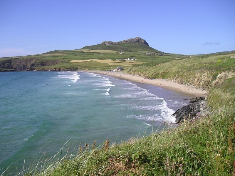 Sandee St Davids Beach